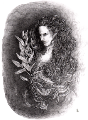 Image of E.A. Petricone. Graphite drawing of woman with long, dark curly hair beside milkweed plants and fluff. 